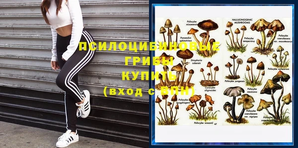 мет Нефтекумск