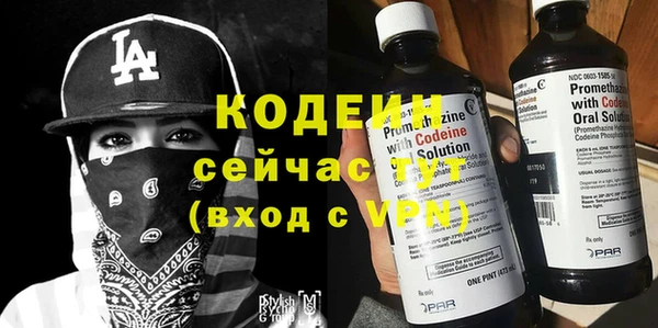 шишки Болохово