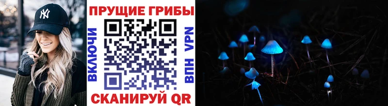 ОМГ ОМГ онион  Покачи  darknet наркотические препараты  Галлюциногенные грибы Psilocybe 