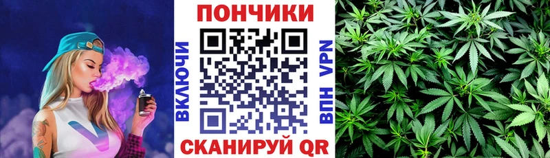 Шишки марихуана SATIVA & INDICA Покачи